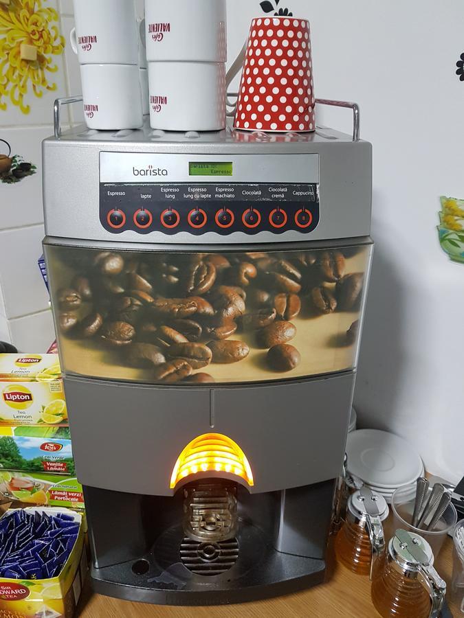 Casa Teilor Hotell Piteşti Exteriör bild